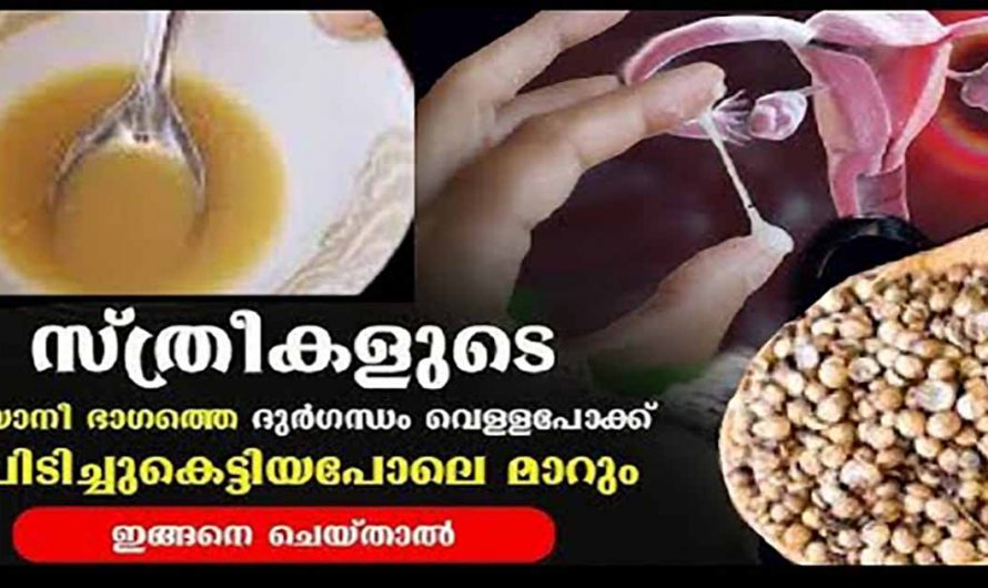 ഈയൊരു ഇല മതി സ്ത്രീകളിലെ വെള്ളപോക്കിനെ മറികടക്കാൻ. ഇതാരും നിസ്സാരമായി കാണരുതേ.