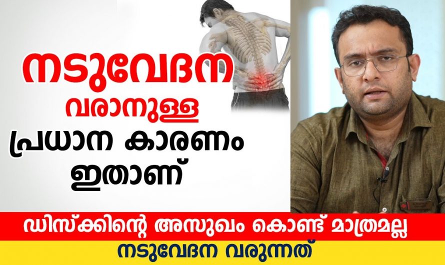 അസഹ്യമായ നടുവേദനയുടെ പിന്നിലുള്ള ഇത്തരം കാരണങ്ങളെ ആരും തിരിച്ചറിയാതെ പോകരുതേ…| Reasons for back pain