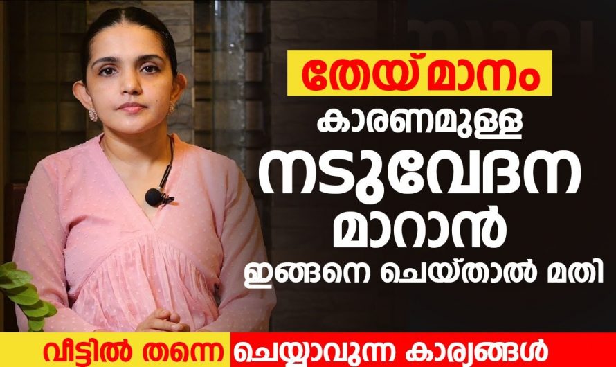 എത്ര വലിയ നടുവേദനയും വളരെ എളുപ്പത്തിൽ മാറ്റുവാൻ ഇത്തരം കാര്യങ്ങൾ ആരും അറിയാതെ പോകരുതേ…| Naduvedana maran malayalam