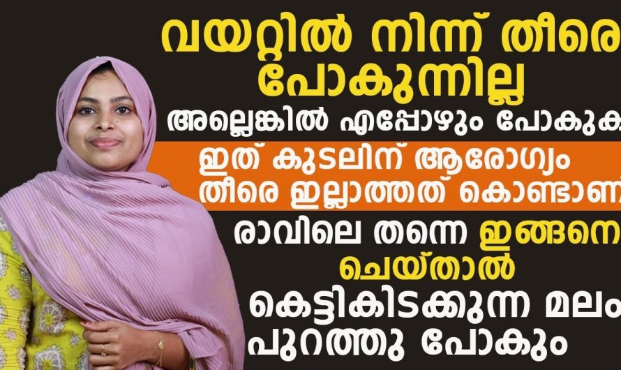 കുടലിന്റെ ആരോഗ്യക്കുറവ് കാണിക്കുന്ന ഇത്തരം ലക്ഷണങ്ങളെ ആരും തിരിച്ചറിയാതെ പോകല്ലേ.