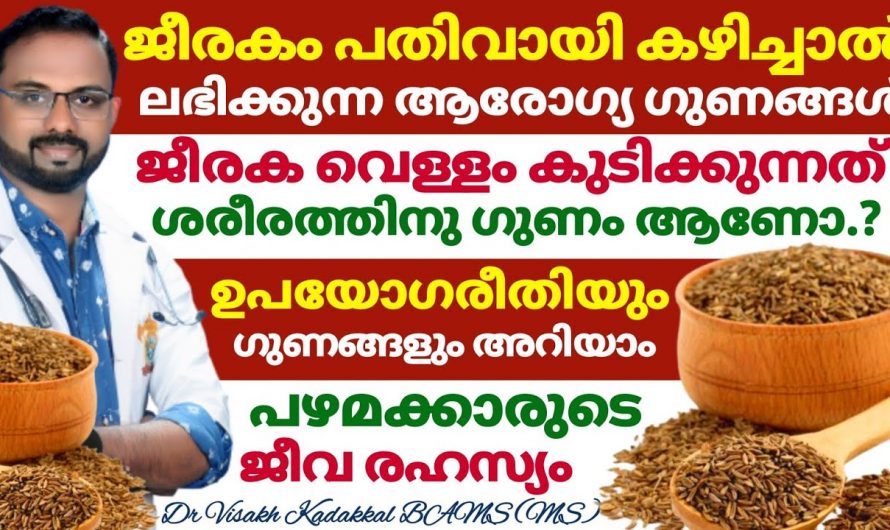 ആരോഗ്യം പത്തിരട്ടിയായി  വർദ്ധിപ്പിക്കാൻ ഇത് ഒരല്പം പതിവായി കഴിക്കൂ. മാറ്റം സ്വയം തിരിച്ചറിയൂ.