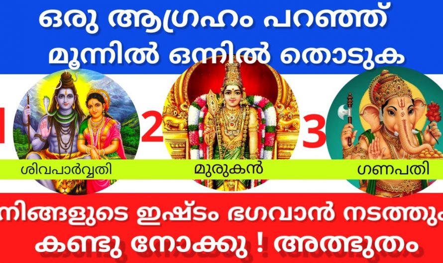 ആഗ്രഹസാഫല്യം നടക്കുമോ ഇല്ലയോ എന്ന് തിരിച്ചറിയാൻ  ഇതാരും കാണാതെ പോകരുതേ.