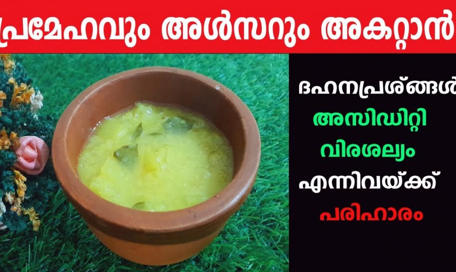 ജീവിതശൈലി രോഗങ്ങളെ അപ്പാടെ തുടച്ചുനീക്കാൻ ഈയൊരു സൂപ്പ് മതി. ഇതാരും കണ്ടില്ലെന്ന് നടിക്കരുതേ…| How to Reduce Diabetes at Home