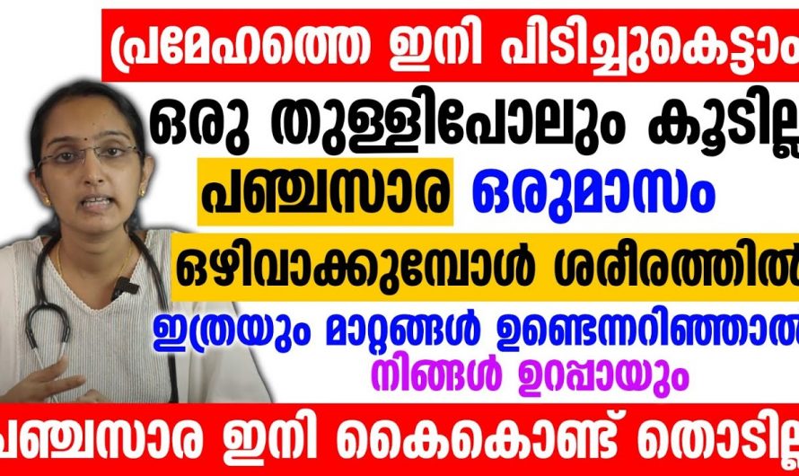 പിടിവിട്ടുപോയ പ്രമേഹത്തെ പിടിച്ചു കെട്ടാൻ ഇതാരും കാണാതെ പോകരുതേ.