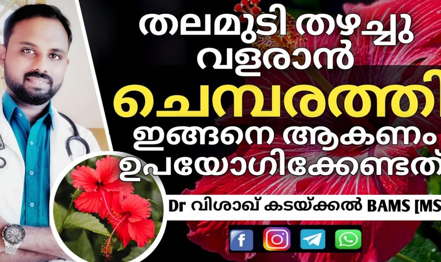 തലമുടി തഴച്ചു വളരുവാനും താരൻ അകാലനര എന്നിവയെ മറികടക്കാനും ഈയൊരു പൂവ് മതി. കണ്ടു നോക്കൂ.