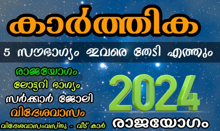 കാർത്തിക നക്ഷത്രക്കാർക്ക് 2024 കാത്തുവച്ചിരിക്കുന്ന പൊതുഫലത്തെ ഇതുവരെയും അറിയാതെ  പോയല്ലോ.