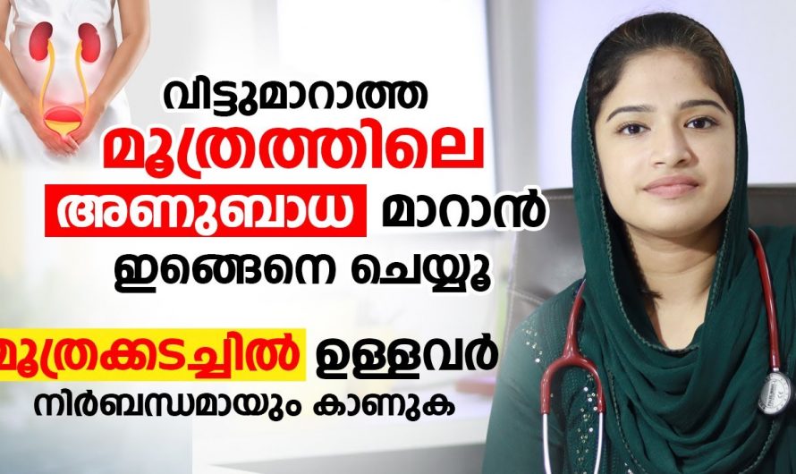 മൂത്രത്തിലെ അണുബാധയെ പ്രതിരോധിക്കാൻ ഇത്തരം കാര്യങ്ങൾ ആരും തിരിച്ചറിയാതെ പോകല്ലേ…| Urinary Tract Infection Malayalam