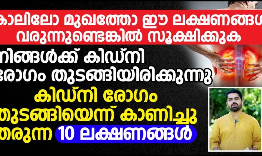 ശരീരത്തിലെ എല്ലാ കൊളസ്ട്രോളും പുറന്തള്ളാൻ ഈയൊരു മിശ്രിതം മതി. ഇതാരും നിസ്സാരമായി കാണരുതേ.