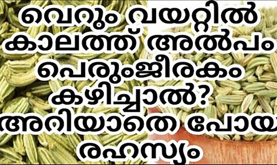 ജീവിതശൈലി രോഗങ്ങളെ ആട്ടിപ്പായിക്കാൻ ഇതൊരു പിടി മതി. ഇതിന്റെ ഗുണങ്ങൾ ആരും കാണാതെ പോകല്ലേ…| Benefits of fennel seeds