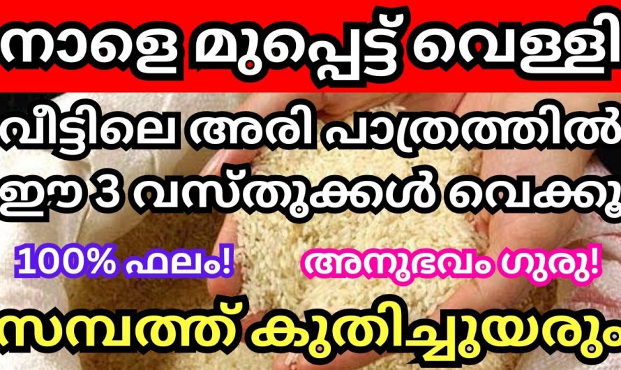 വീടുകളിൽ സമ്പത്ത് വർദ്ധിക്കാൻ മുപ്പെട്ട് വെള്ളി ദിവസം ഇങ്ങനെ ചെയ്യൂ. ഇതാരും നിസ്സാരമായി കാണരുതേ.