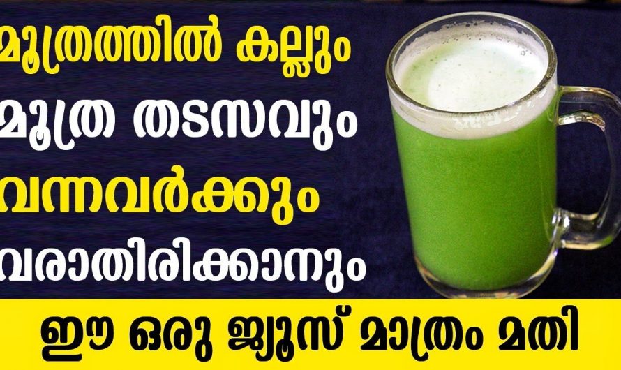 മൂത്രത്തിലൂടെ മൂത്രക്കല്ലിന് പുറന്തള്ളാൻ  ഈയൊരു ജ്യൂസ് മതി. ഇതാരും അറിയാതെ പോകരുതേ.