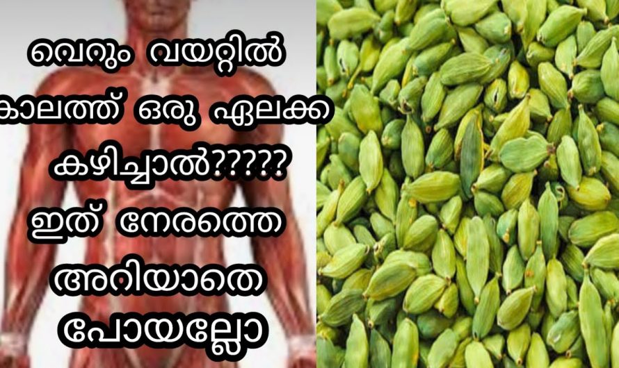 വിഷാംശങ്ങളെ പുറന്തള്ളാനും വേദനയെ മറികടക്കാനും ഈയൊരു ഡ്രിങ്ക് മതി. ഇതിന്റെ ഗുണങ്ങൾ ആരും നിസ്സാരമായി കാണരുതേ…| Cardomom Empty Stomach