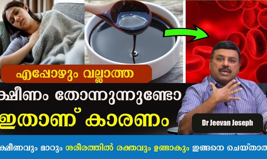 എത്ര വലിയ ക്ഷീണവും മറികടക്കാൻ കഴിക്കേണ്ട ഭക്ഷണങ്ങളെക്കുറിച്ച് ഇതുവരെയും അറിയാതെ പോയല്ലോ.