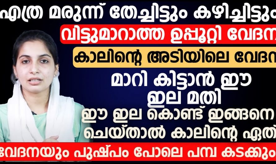 ഉപ്പൂറ്റി വേദന ഉള്ളവരാണോ നിങ്ങൾ?  എങ്കിൽ ഇത്തരം കാര്യങ്ങൾ ആരും അറിയാതെ പോകരുതേ.