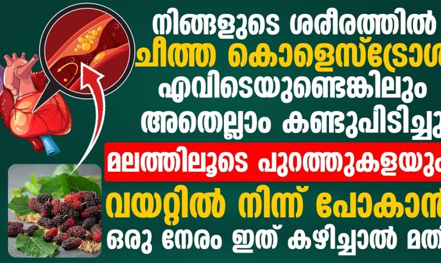 മലബന്ധം തടയാനും ചീത്ത കൊളസ്ട്രോളിന് പുറന്തള്ളാനും ഇതുമാത്രം മതി. കണ്ട് നോക്കൂ…| Cholesterol control medicine