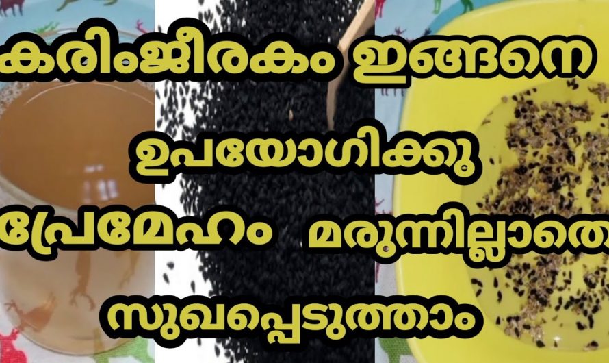 കുറയില്ലെന്ന് കരുതിയ എത്ര വലിയ ഷുഗറും കുറയ്ക്കാൻ ഇതൊരു പിടി മതി. ഇതാരും നിസ്സാരമായി കാണരുതേ…| Reduce sugar naturally