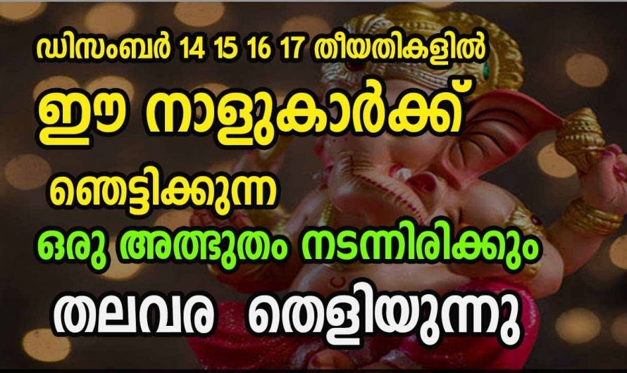 നഷ്ടങ്ങളെ മറികടന്ന് നേട്ടങ്ങൾ ഉണ്ടാകുന്ന നക്ഷത്രക്കാരെ ആരും തിരിച്ചറിയാതെ പോകല്ലേ.