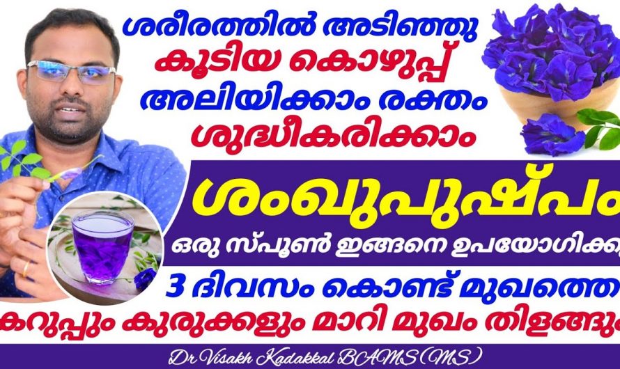 മുഖകാന്തി വർധിപ്പിക്കാനും കൊഴുപ്പിനെ ഇല്ലായ്മ ചെയ്യാനും ഈയൊരു പൂവ് മതി. കണ്ടു നോക്കൂ.