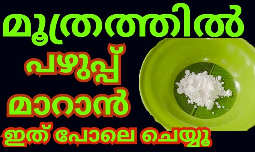 അടിക്കടി മൂത്രത്തിൽ പഴുപ്പ് അനുഭവിക്കുന്നവരാണോ നിങ്ങൾ? എങ്കിൽ ഇത്തരം റെമഡികൾ ആരും കാണാതെ പോകല്ലേ.