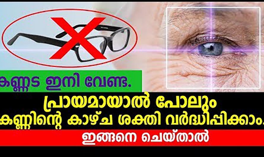 കണ്ണിന്റെ കാഴ്ച ശക്തിയെ പതിന്മടങ്ങ് വർദ്ധിപ്പിക്കാൻ ഇങ്ങനെ ചെയ്യൂ. മാറ്റം സ്വയം തിരിച്ചറിയൂ.