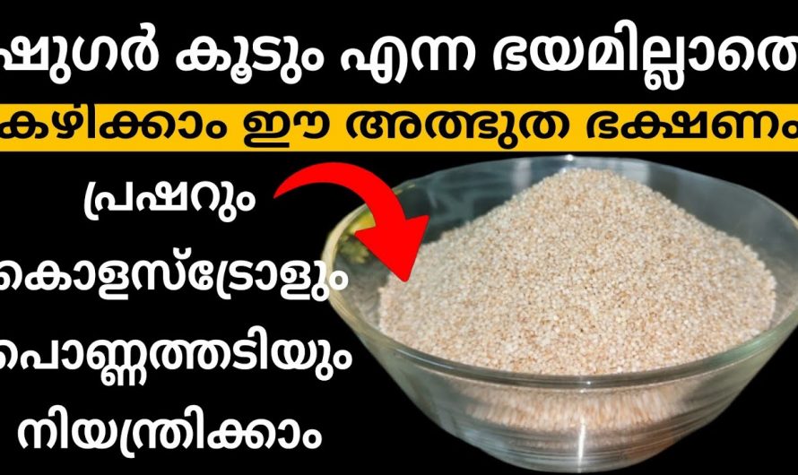 പ്രോട്ടീനിന്റെ അഭാവം നേരിടുന്നവരാണോ നിങ്ങൾ ?  എങ്കിൽ ഇത് ഉപയോഗിക്കൂ മാറ്റം സ്വയം തിരിച്ചറിയൂ…| You can eat without fear of sugar spike