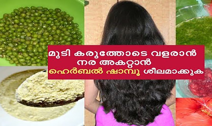 മുടി മുട്ടറ്റം വളരാൻ ഈയൊരു ഷാമ്പൂ മതി. ഇതിന്റെ ഗുണങ്ങൾ ആരും അറിയാതെ പോകല്ലേ.