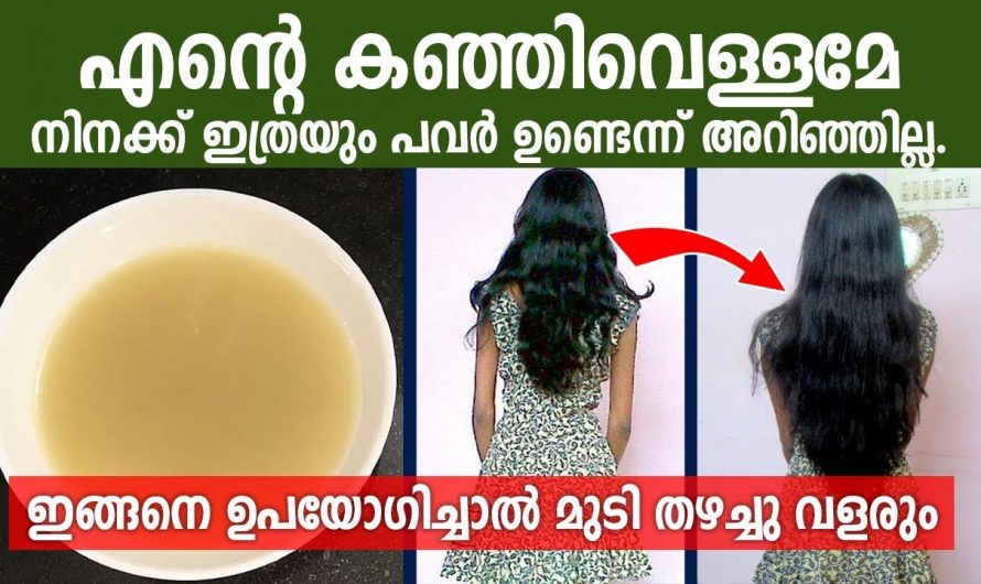 മുടി കൊഴിഞ്ഞു തീരാറായോ? എങ്കിൽ മുടിയിൽ ഇതൊന്നു അപ്ലൈ ചെയ്യൂ മാറ്റം സ്വയം തിരിച്ചറിയൂ.