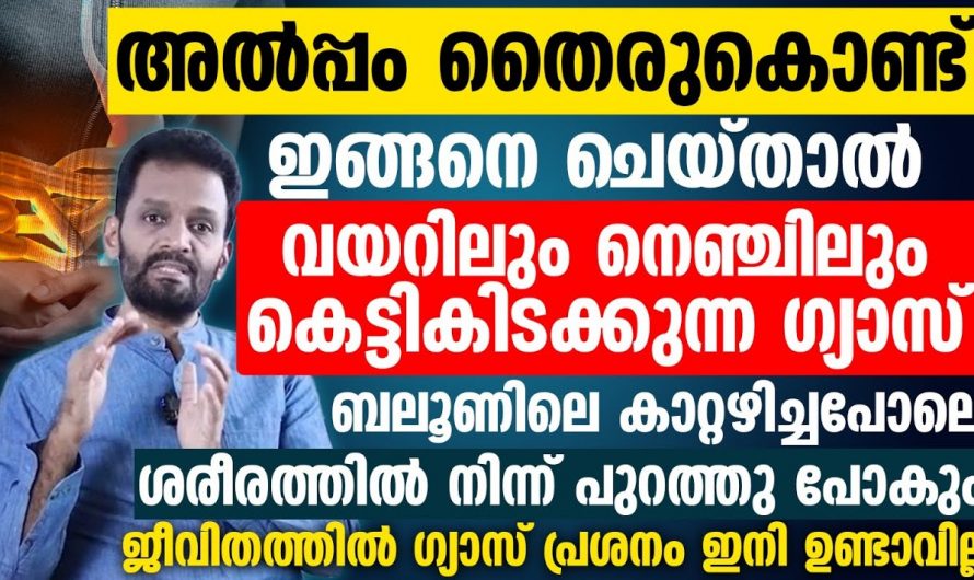 അടിക്കടി ദഹന പ്രശ്നങ്ങൾ നേരിടുന്നവരാണോ നിങ്ങൾ? എങ്കിൽ ഇതാരും നിസ്സാരമായി തള്ളിക്കളയരുതേ…| Gas in the stomach home remedy