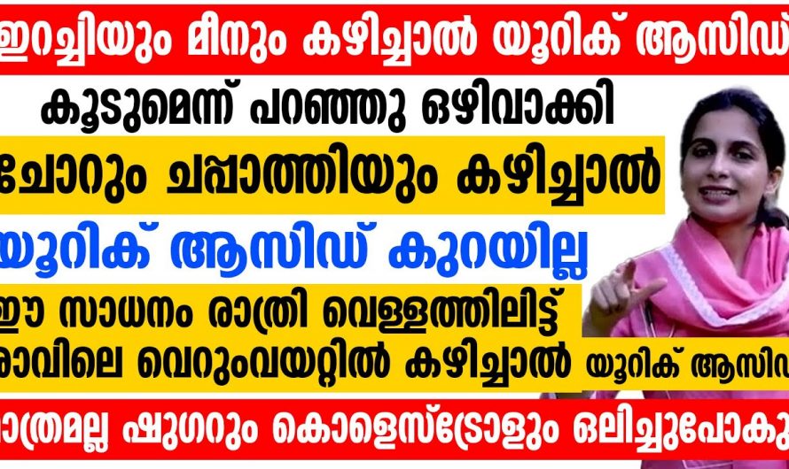 എത്ര ശ്രമിച്ചിട്ടും യൂറിക്കാസിഡ് കുറയാത്തതിന്റെ യഥാർത്ഥ കാരണങ്ങളെ ആരും തിരിച്ചറിയാതെ പോകല്ലേ…| Uric acid control food