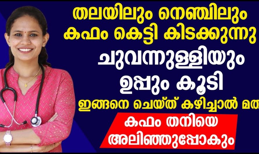 കഫത്തെ അലിയിച്ചു കളയാൻ ചുവന്നുള്ളി ഇങ്ങനെ ഉപയോഗിക്കൂ. കണ്ടു നോക്കൂ.