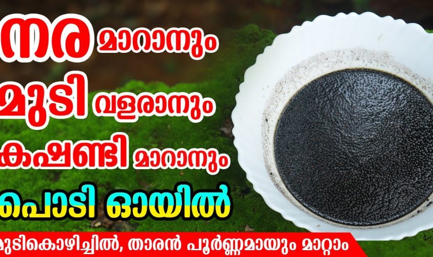 ഈയൊരു ഓയിൽ മതി അകാലനരയെ മറികടക്കാനും മുടികൾ തഴച്ചു വളരുവാനും. കണ്ടു നോക്കൂ.