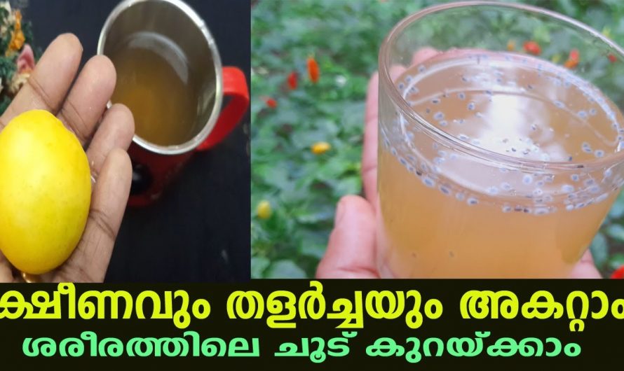 ശരീരത്തിലേക്ക് കടന്നു വരുന്ന രോഗങ്ങളെ പ്രതിരോധിക്കാൻ ഈ ഒരു ഡ്രിങ്ക് മതി. ഇതാരും നിസ്സാരമായി കാണരുതേ…| Immunity Boosting Drink