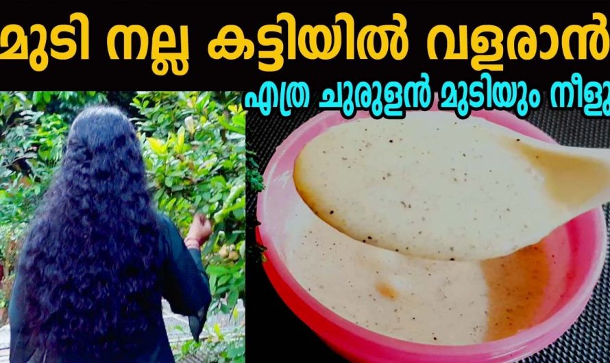 തിളക്കമാർന്ന നീളമുള്ള മുടി ആഗ്രഹിക്കുന്നവരാണോ നിങ്ങൾ?എങ്കിൽ ഇതാരും അറിയാതെ പോകല്ലേ…| Simple Hair Care Tips for my hair