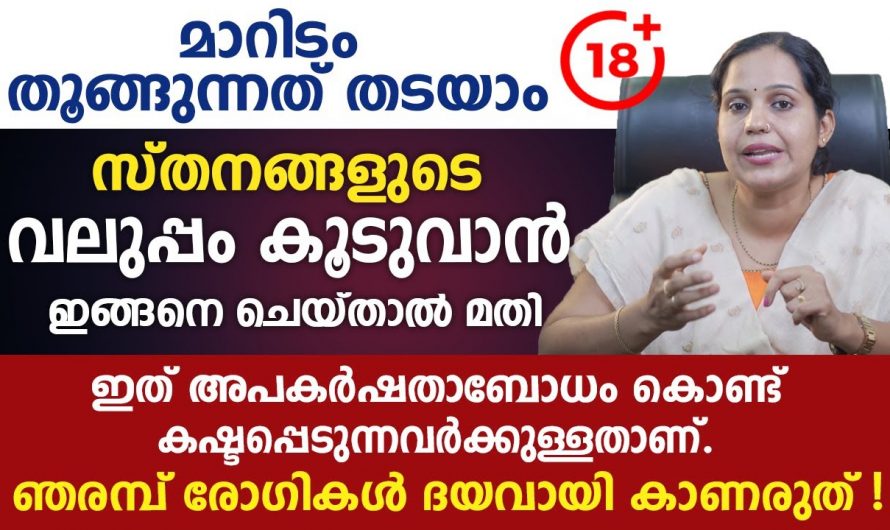 സ്തനങ്ങളുടെ വലുപ്പം കൂടുവാൻ കഴിക്കേണ്ട ഭക്ഷണങ്ങളെ കുറിച്ച് ആരും അറിയാതെ പോകല്ലേ.