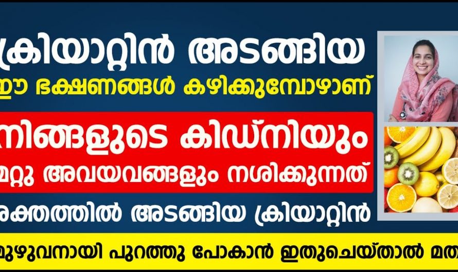 ക്രിയാറ്റിനിൻ ശരീരത്തിൽ കൂട്ടുന്ന ഇത്തരം ഭക്ഷണങ്ങളെക്കുറിച്ച് ഇതുവരെയും അറിയാതെ പോയല്ലോ.