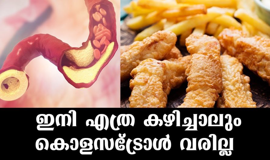 ശരീരത്തിൽ തൂങ്ങി കിടക്കുന്ന ഫാറ്റിനെ മുഴുവൻ പെട്ടെന്ന് തന്നെ ഉരുക്കാൻ ഇതൊന്നു കണ്ടു നോക്കൂ…| Reduce Cholesterol Very Fastly