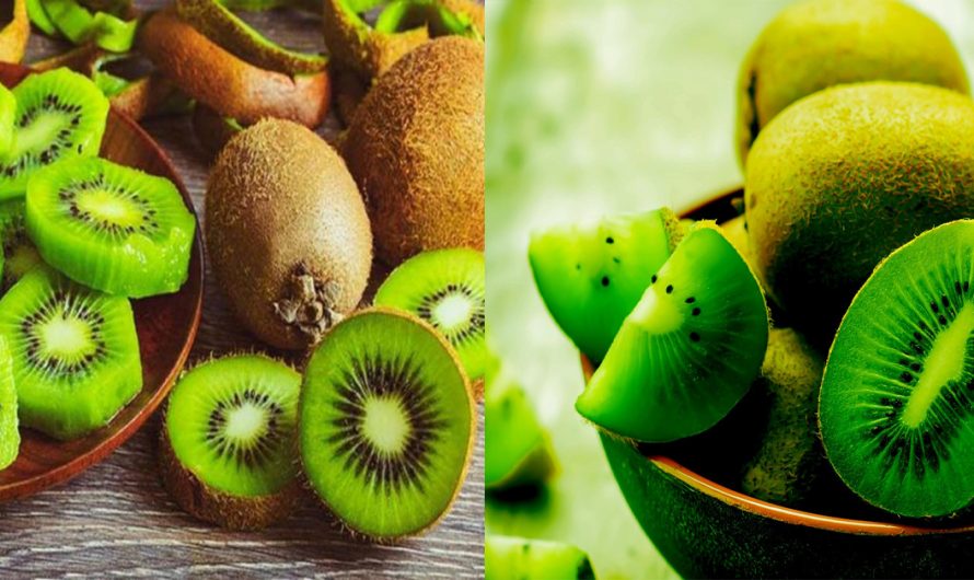 രക്തത്തിലെ പ്ലേറ്റ്ലേറ്റ് വർദ്ധിപ്പിക്കാൻ ഇതിലും നല്ലൊരു മാർഗ്ഗം വേറെയില്ല. ഇതിന്റെ ഗുണങ്ങൾ കേട്ടാൽ ഞെട്ടും…| Kiwi fruit benefits