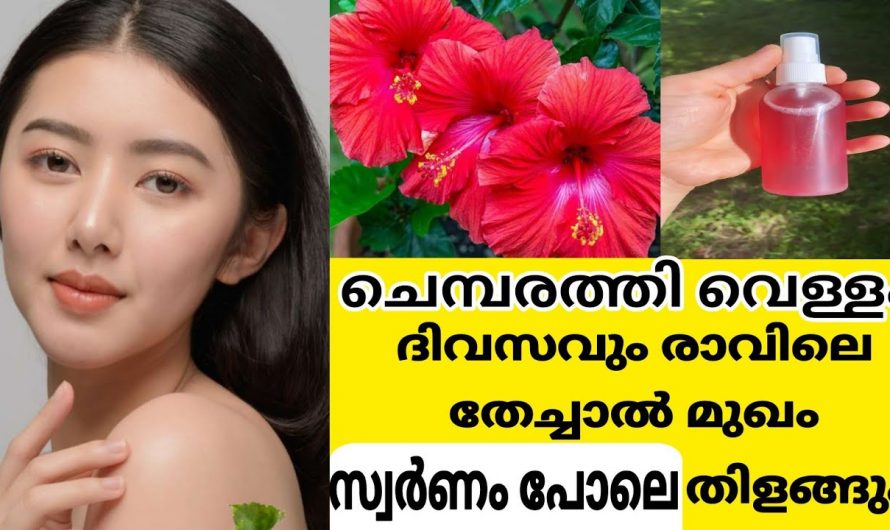 ഫെയ്സ് പാക്കിനെ വിട ഇനി നിറം വർദ്ധിപ്പിക്കാൻ ഇതു മാത്രം മതി. കണ്ടു നോക്കൂ.