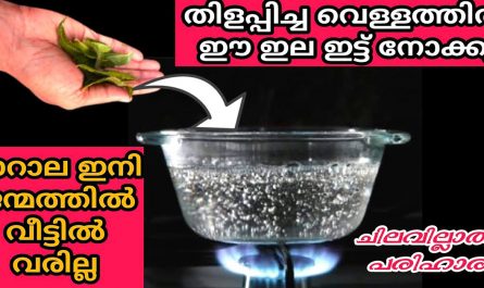 Kitchen Tips malayalam