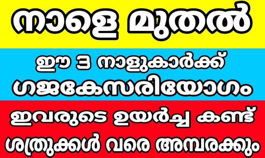 ജീവിതത്തിലെ സകല പ്രശ്നങ്ങളെ മറി കടന്നുകൊണ്ട് രക്ഷ പ്രാപിക്കാൻ ഈ വഴിപാട് ചെയ്താൽ മതി. കണ്ടു നോക്കൂ.