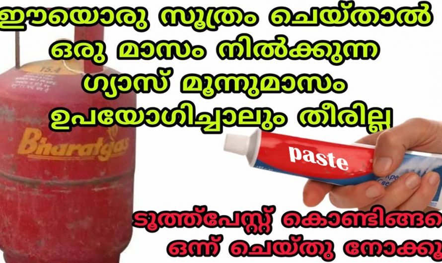 എത്ര മൂർച്ചയില്ലാത്ത കത്തിയും മൂർച്ച കൂട്ടാൻ ഇത് ഉപയോഗിക്കൂ. മാറ്റം സ്വയം തിരിച്ചറിയൂ.