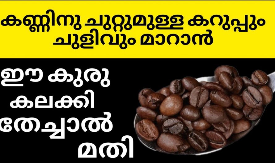 കണ്ണിനെ ചുറ്റുമുള്ള എത്ര വലിയ കറുപ്പിനെയും മറികടക്കാൻ ഈ ഒരു പാക്ക് മതി. കണ്ടു നോക്കൂ.