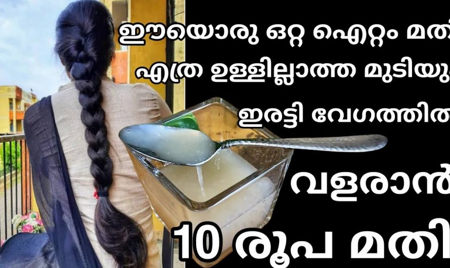 ഇതു മാത്രം മതി സൈഡ് എഫക്ററ് ഒട്ടുമില്ലാതെ മുടി വളർച്ച ഇരട്ടിയാവാൻ. കണ്ടു നോക്കൂ…| Hair growth tips at home naturally