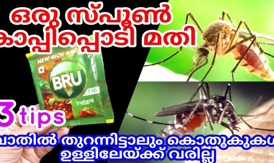 കൊതുകിനെ വീട്ടിൽ നിന്ന് തുരത്താൻ ഈയൊരു  പൊടി മതി. ഇനിയെങ്കിലും ഇത്തരം കാര്യങ്ങൾ അറിയാതിരിക്കല്ലേ.