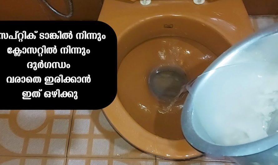 ഇതൊരൽല്പം ക്ലോസറ്റിൽ ഒഴിച്ചാൽ മതി ദുർഗന്ധം താനേ നിൽക്കും. ഇനിയെങ്കിലും ഇത്തരം കാര്യങ്ങൾ അറിയാതിരിക്കല്ലേ.