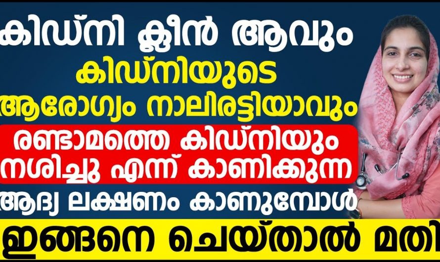 കിഡ്നിയെ ബാധിക്കുന്ന രോഗങ്ങളെ മറികടക്കാൻ ഇത്തരം കാര്യങ്ങൾ ഇതുവരെയും അറിയാതെ പോയല്ലോ…| Kidney disease symptoms