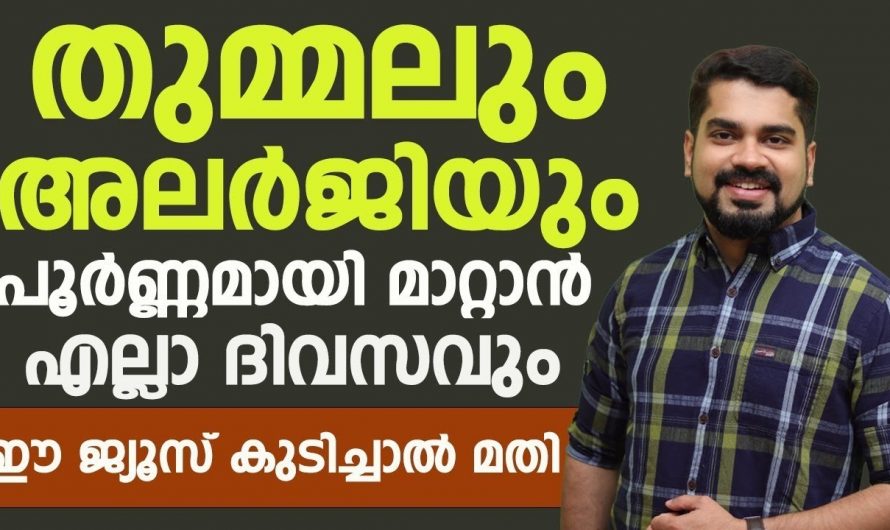 അലർജിയാണോ നിങ്ങളുടെ പ്രശ്നം? എങ്കിൽ ഈ ജ്യൂസ് കുടിക്കൂ മാറ്റം സ്വയം തിരിച്ചറിയൂ.