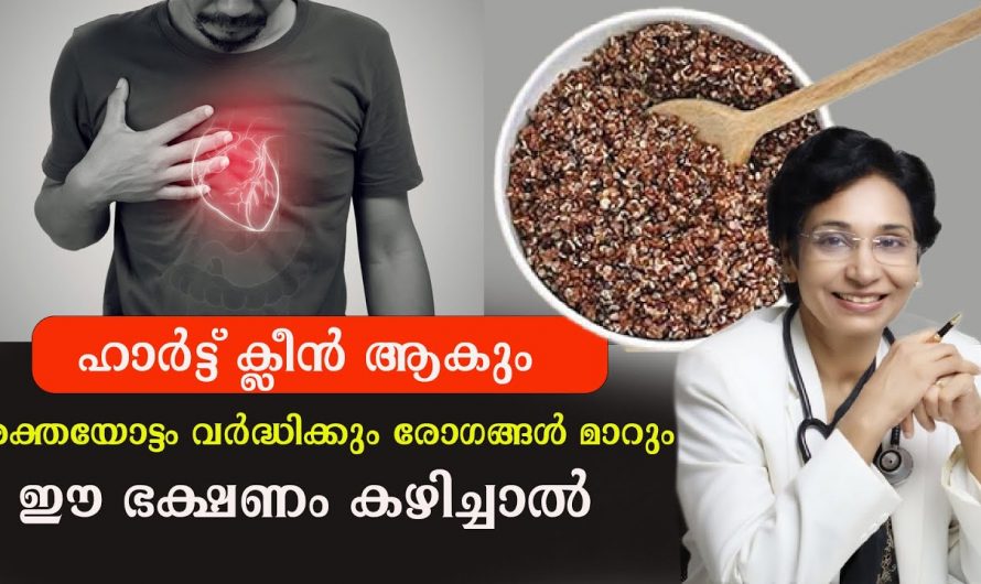 രക്തയോട്ടം വർദ്ധിപ്പിക്കാനും ഹൃദയത്തെ ശുദ്ധിയാക്കാനും ഈ ഭക്ഷണങ്ങൾ കഴിക്കൂ. മാറ്റം സ്വയം തിരിച്ചറിയൂ.