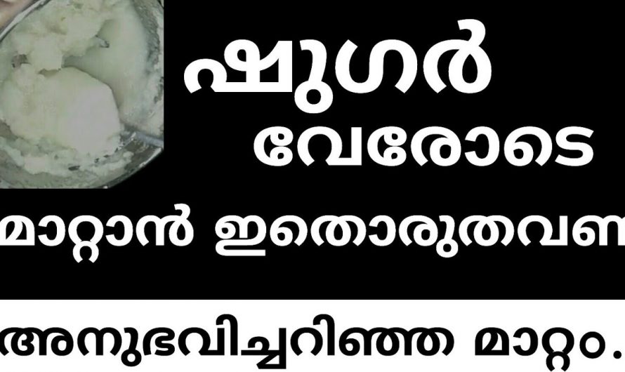 ശരീരത്തിൽ നിന്ന് ഷുഗറിനെ മായ്ക്കാൻ  ഇതിലും നല്ലൊരു മാർഗം വേറെയില്ല. കണ്ടു നോക്കൂ.