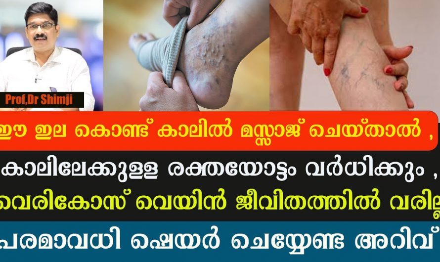 ഈയൊരു ഇല മാത്രം മതി കാലിലേക്കുള്ള രക്തയോട്ടം വർദ്ധിപ്പിക്കാൻ.  കേട്ടുനോക്കൂ.